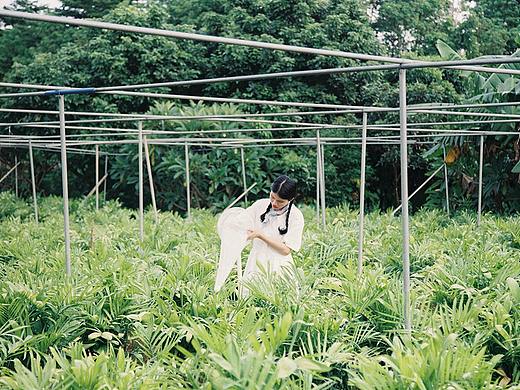 悠悠夏日