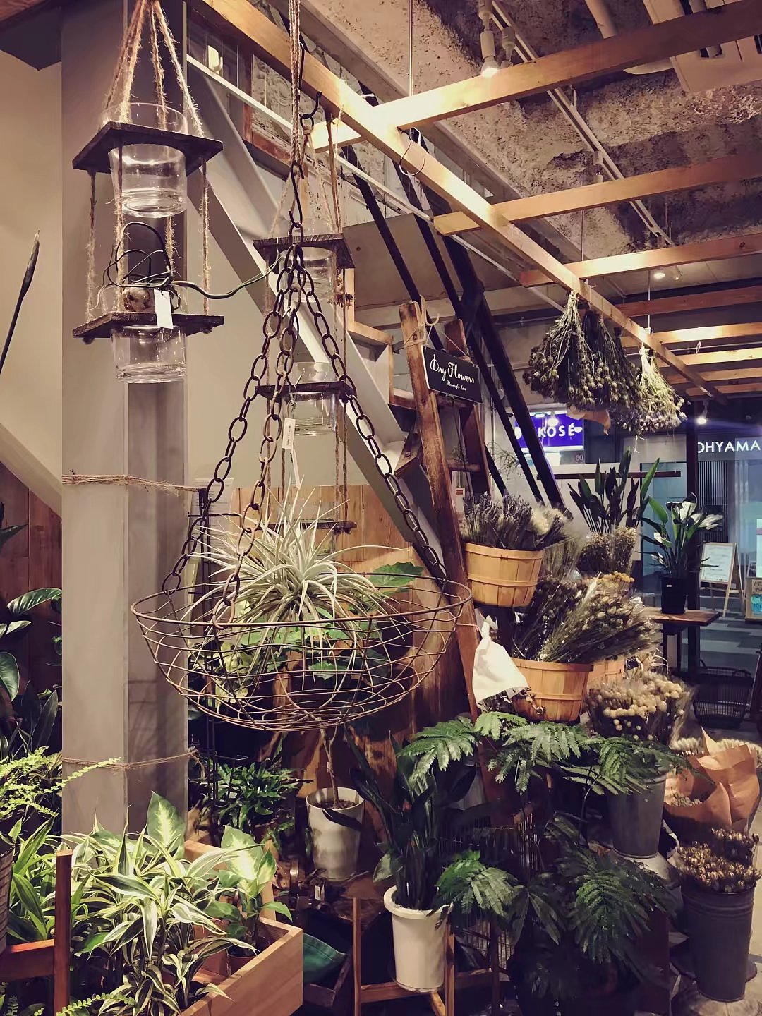 日本京都一周游