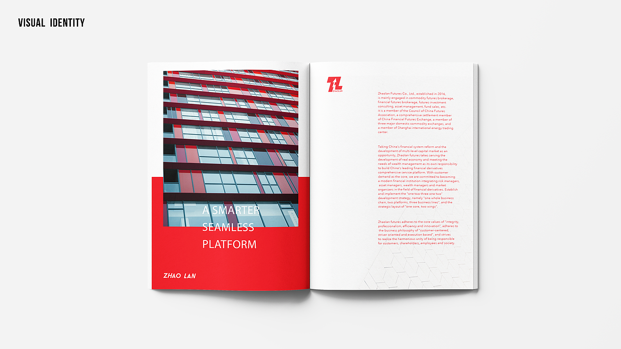 Visual communication