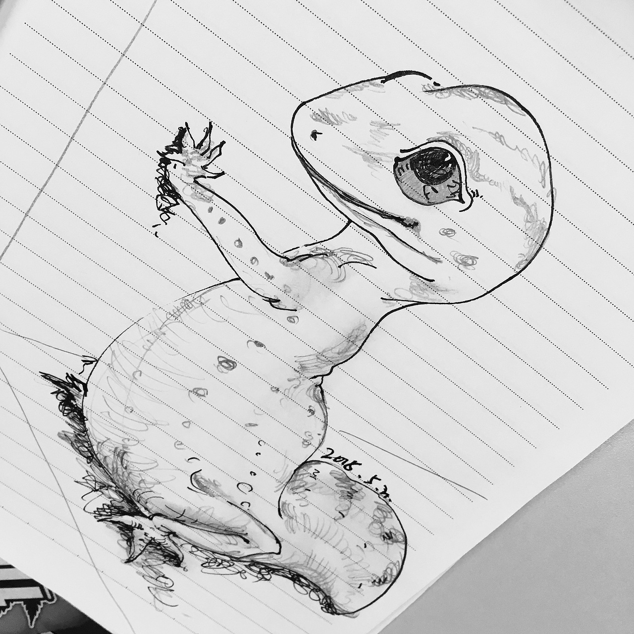 条纹本上的五分钟专注