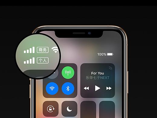 iPhone Xs Max 适配 [先行版]