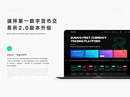 项目过程分析