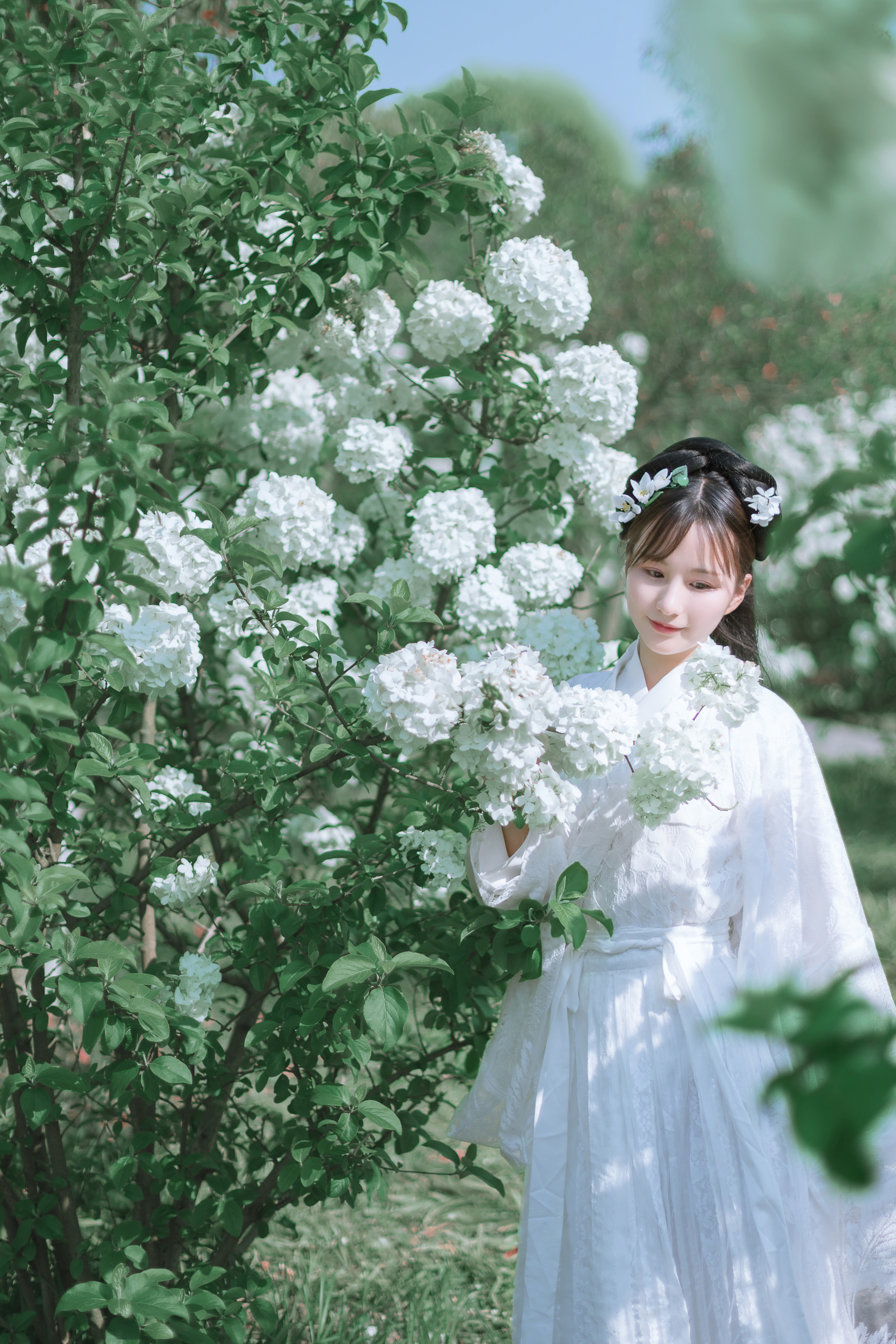 木绣球|摄影|人像摄影|慕秋恋白 - 原创作品 - 站酷 (zcool)