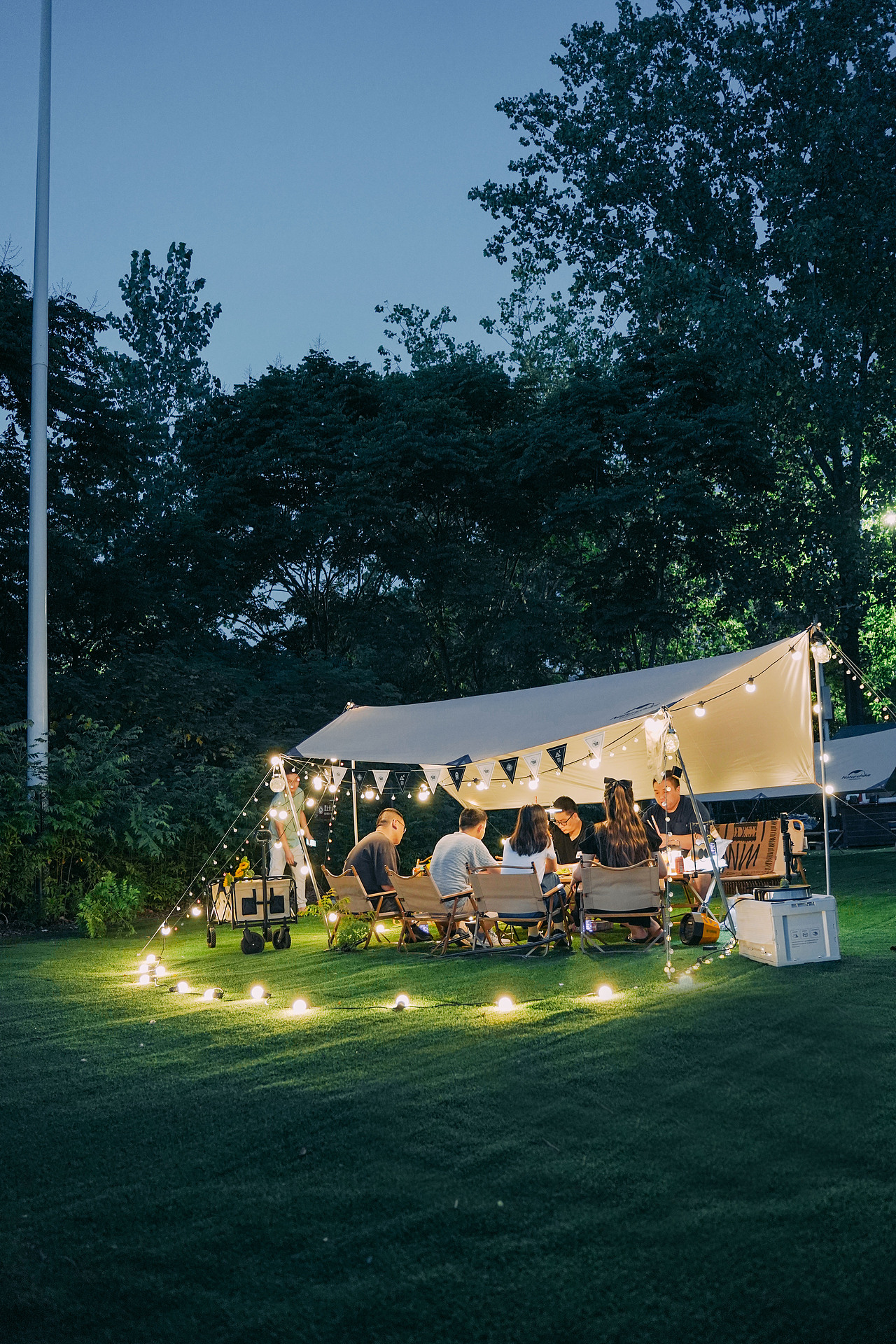 南京绿博园左岸花海露营