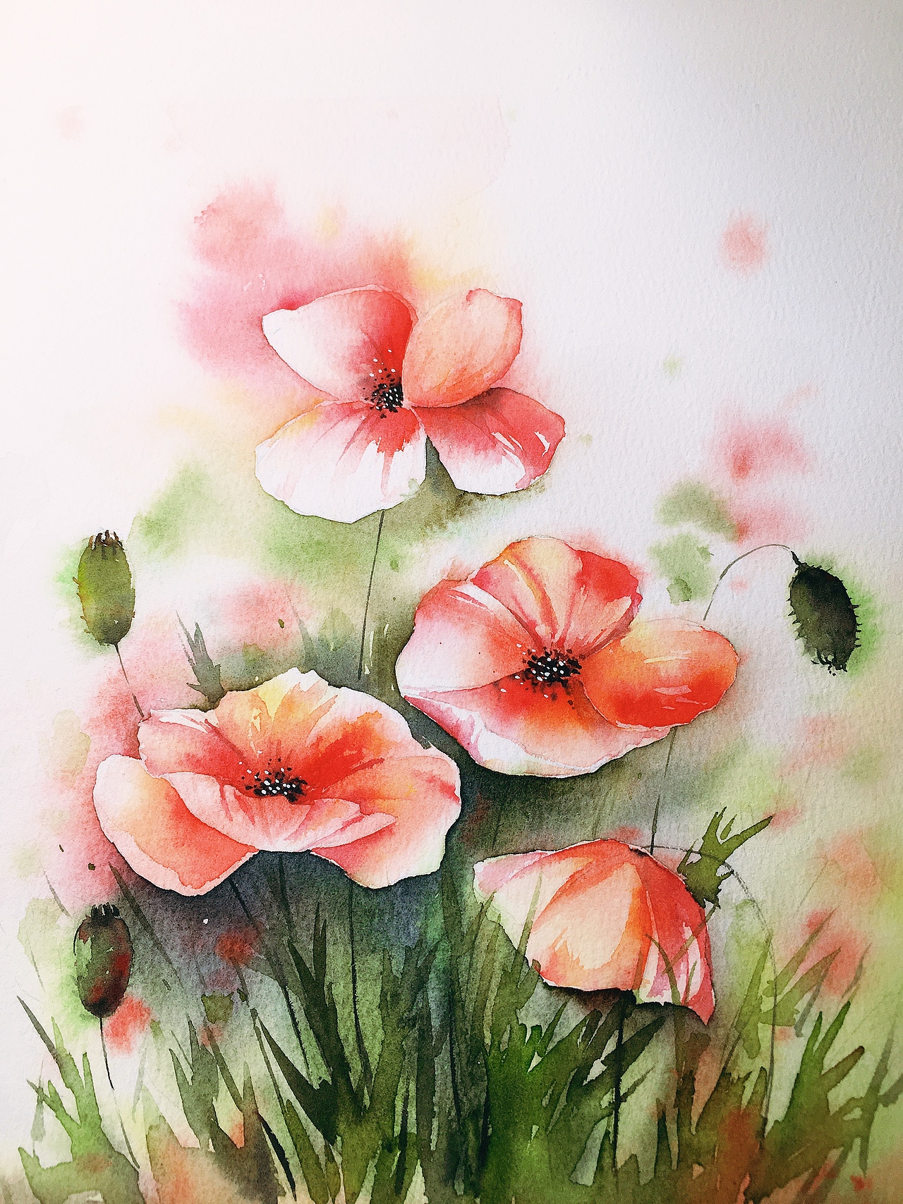 虞美人|纯艺术|绘画|爱蜜部落_原创作品-站酷zcool