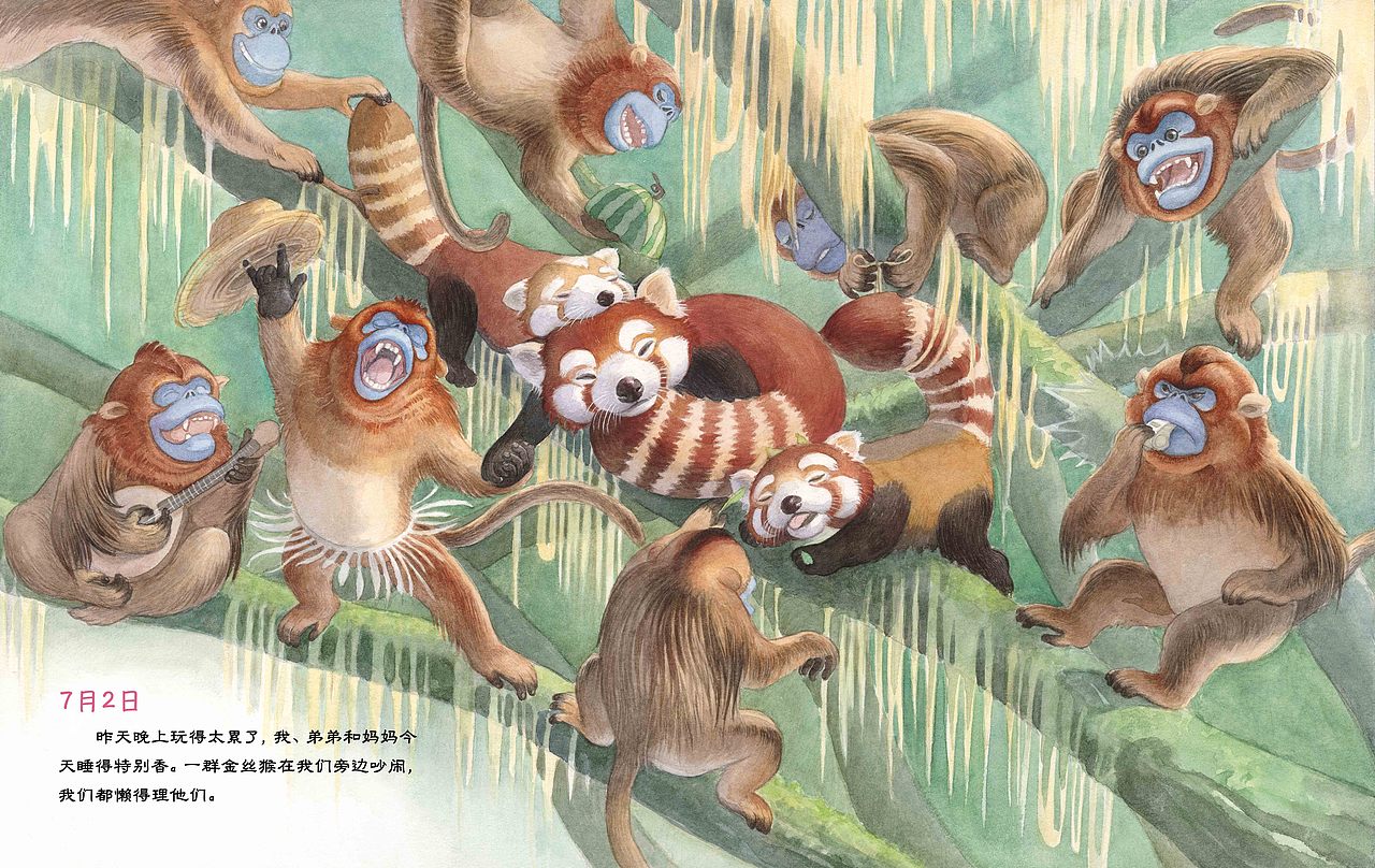 《小熊猫日记》|插画|绘本|yellinghu_原创作品-站酷zcool