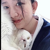 大熊猫po的头像