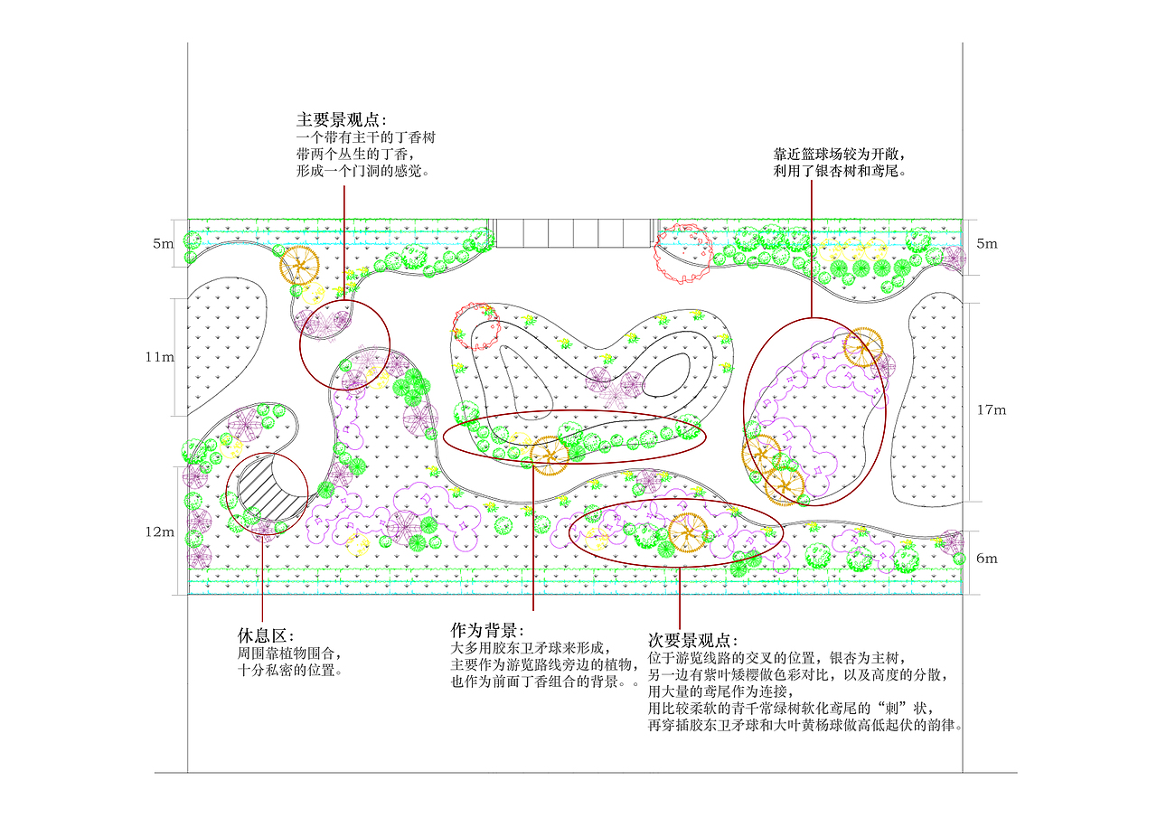 园林设计(宿舍楼前的小绿地)
