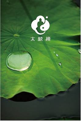 太极禅LOGO设计（图ZODY4NTkzODA=） - Logo - 站酷设计师三川GAFA原创素材 - 站酷ZCOOL