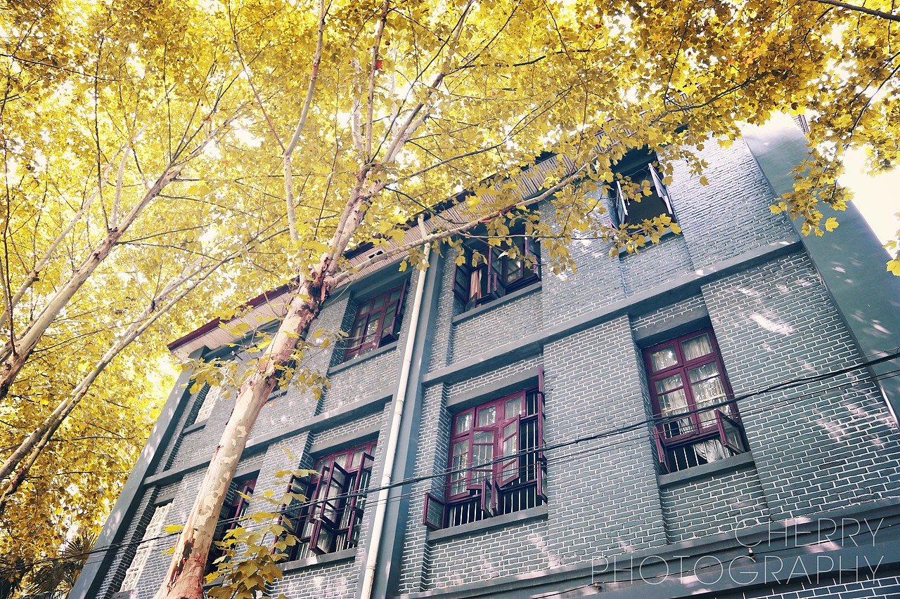 四年大学路 淡淡似风吹