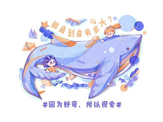 海洋主题插画