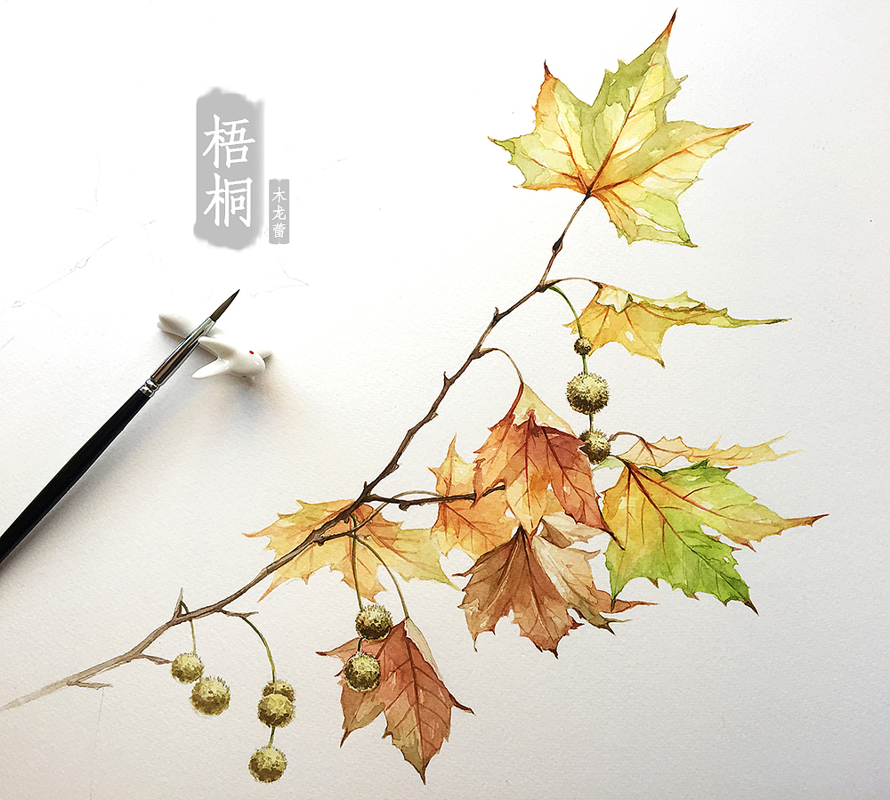 原创手绘水彩画【法国梧桐】,浪漫林荫路