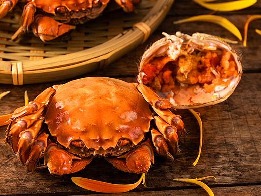 大閘蟹大閘蟹（個(gè)人主頁-ZNDA4MTQ4MDA=） - 產(chǎn)品攝影 - 站酷設(shè)計(jì)師有光餐飲品牌策劃原創(chuàng)素材 - 站酷ZCOOL