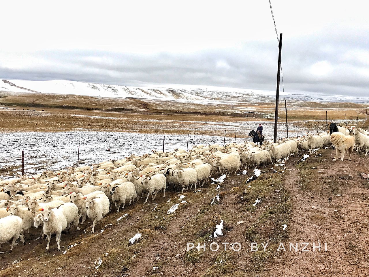 遇见最美大西北（图ZMTAwNzQ2Njc2） - 风光摄影 - 站酷设计师安之HAHA原创素材 - 站酷ZCOOL