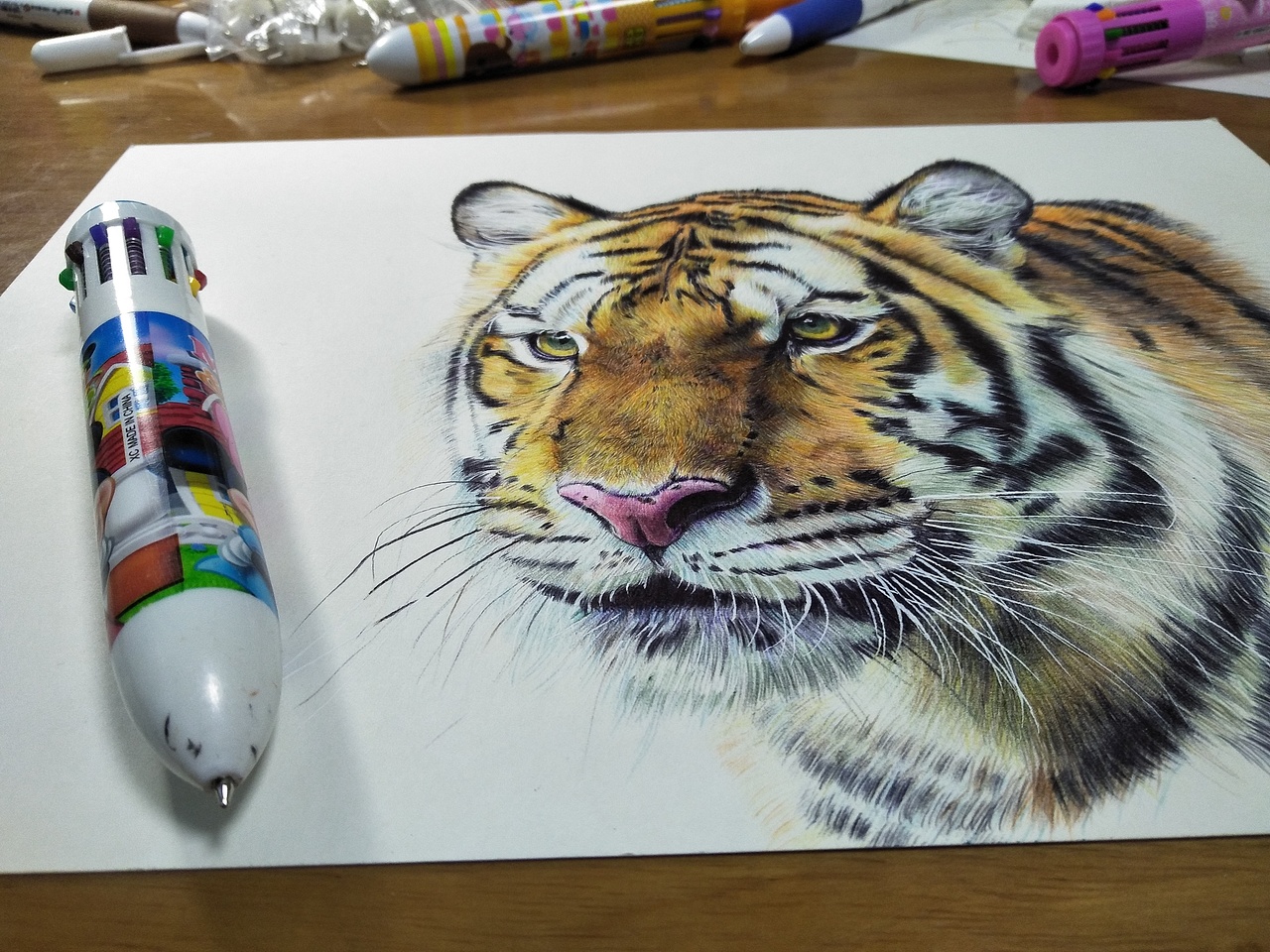 彩色圆珠笔画-动物篇