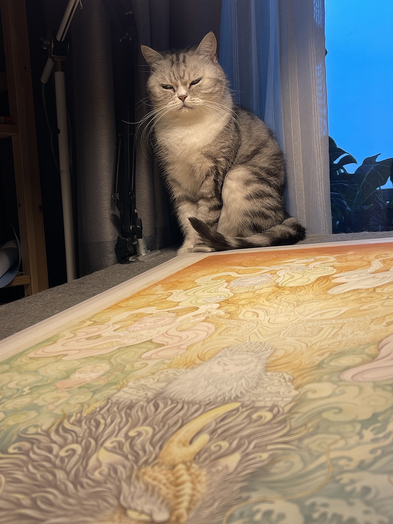 仙猫狸将之封神大战（图ZMzgxMDA4MTQw） - 绘画 - 站酷设计师晓晓村长原创素材 - 站酷ZCOOL