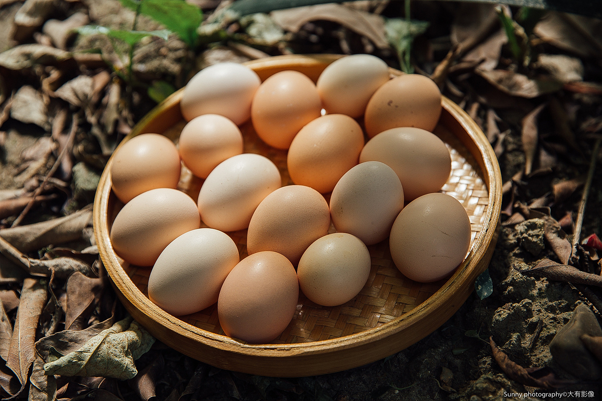 生态鸡蛋|摄影|静物|北京野马视觉 - 原创作品 - 站酷 (ZCOOL)