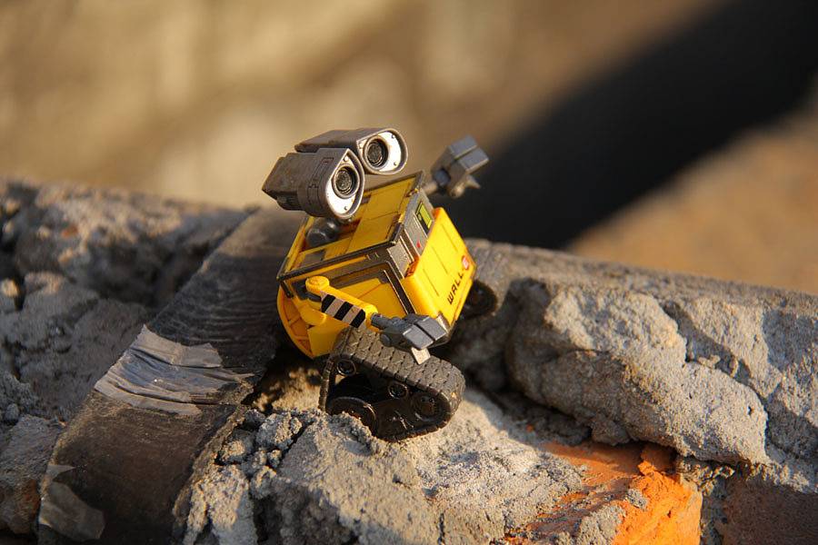 秋日午后 Donatello fratin' WALL-E