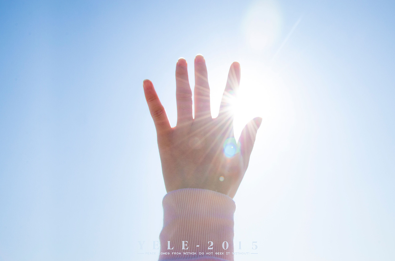 深圳红树湾/双年展