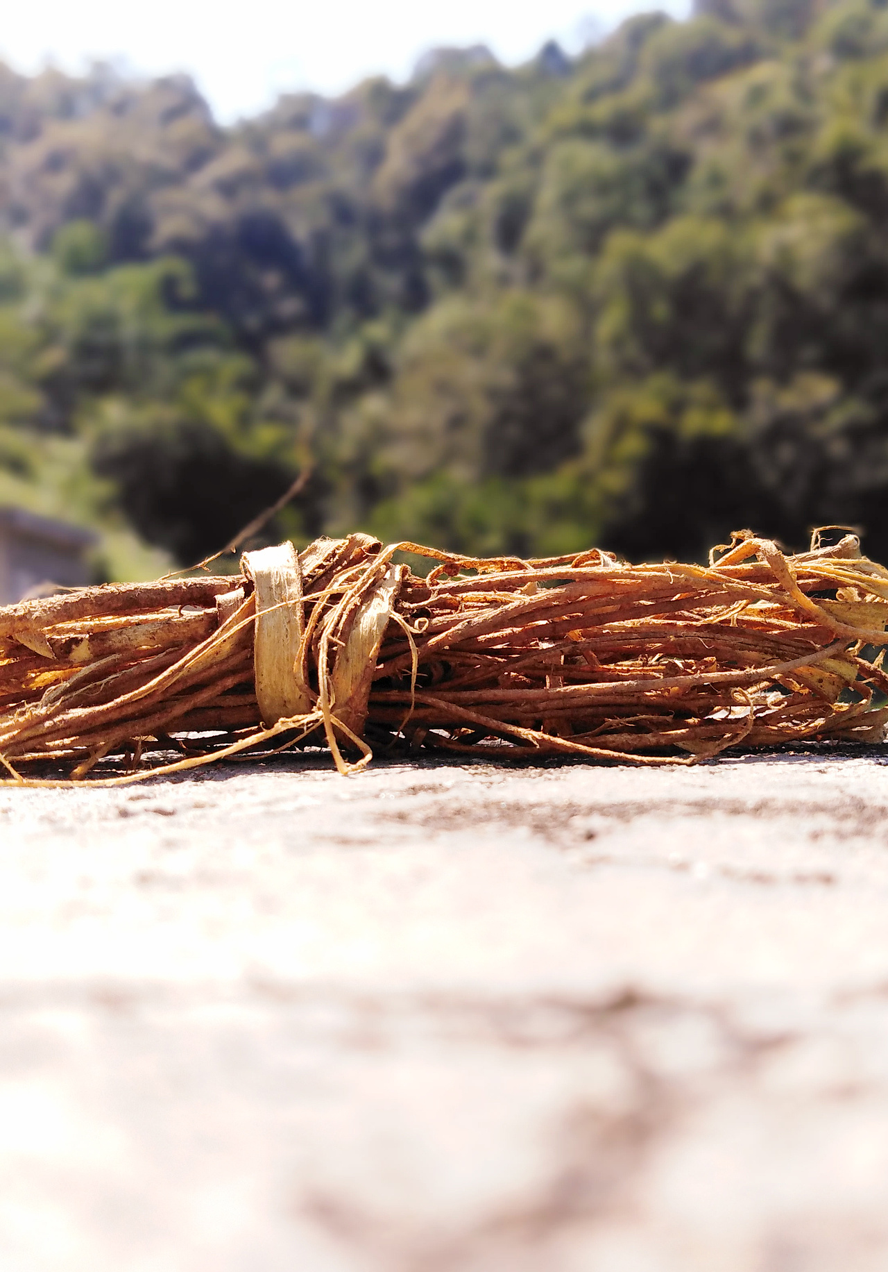 手机摄影(部分相机原片,手机后期)选集