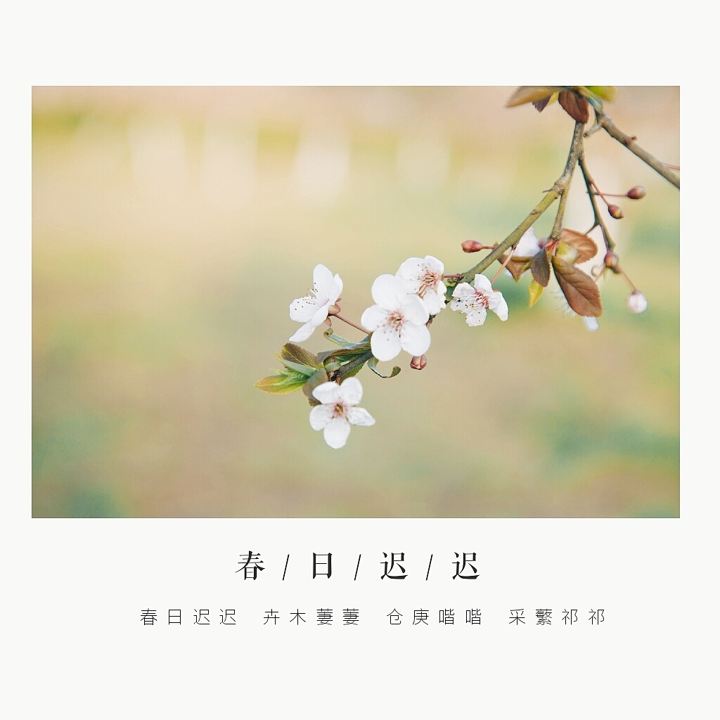 春日迟迟（图ZMTgwMzY1OTIw） - 风光摄影 - 站酷设计师胡乎呼原创素材 - 站酷ZCOOL