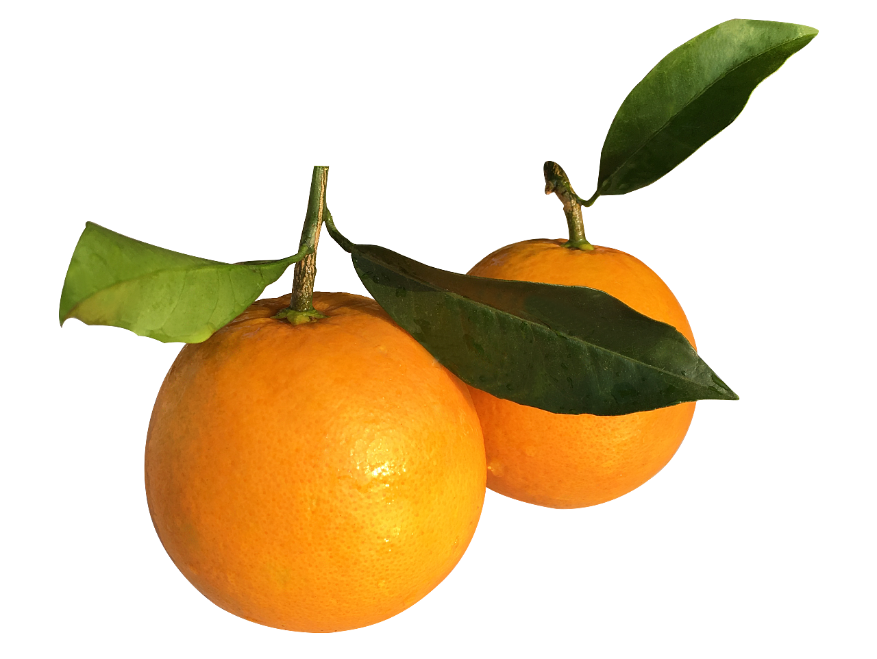 橙子高清图片下载-正版图片500609773-摄图网