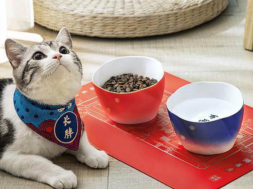 猫用陶瓷碗拍摄 家居日用 宠物用品| 凡仟文化