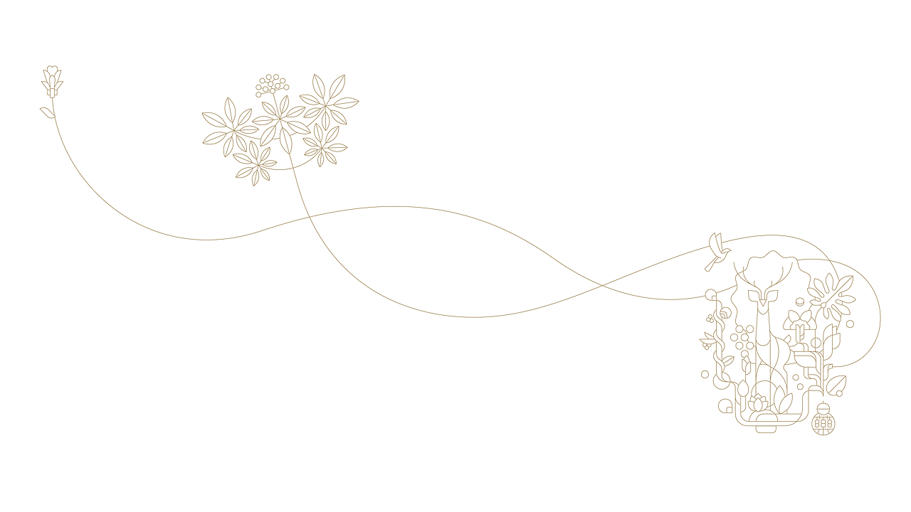 云南白药-“白药LIFE+”品牌设计&节气礼盒