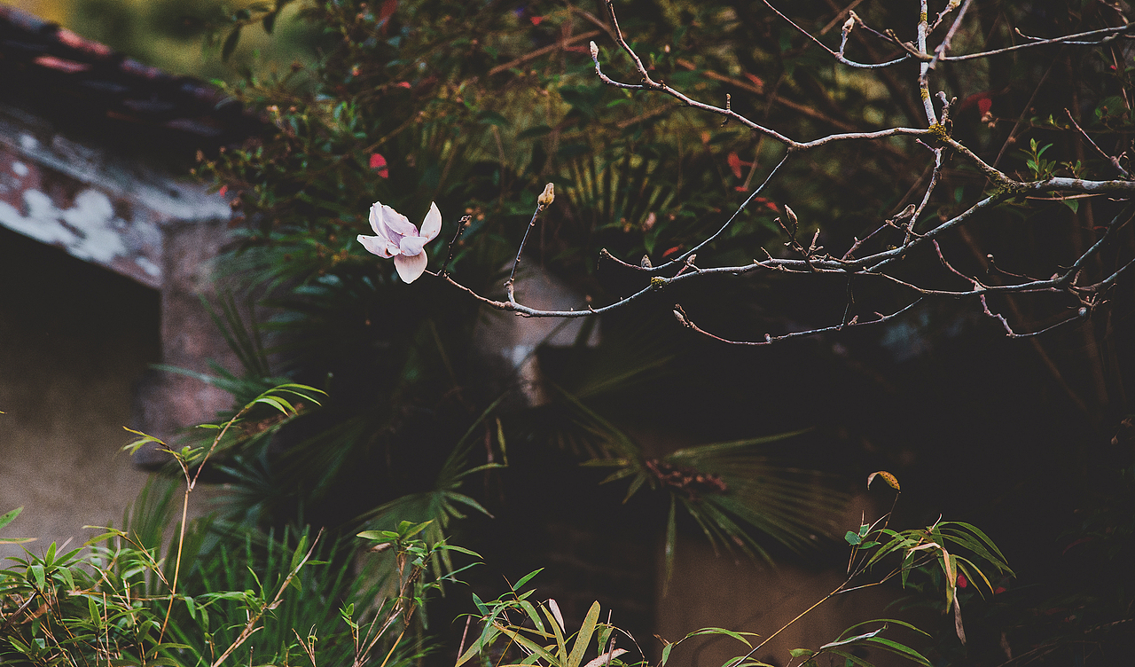 旅行日记2（图ZMTg3Mjc0OTAw） - 风光摄影 - 站酷设计师十小城原创素材 - 站酷ZCOOL