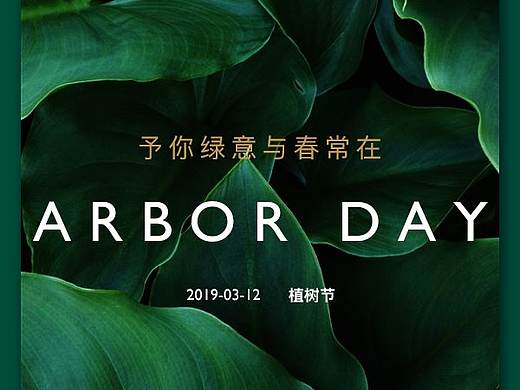 海报