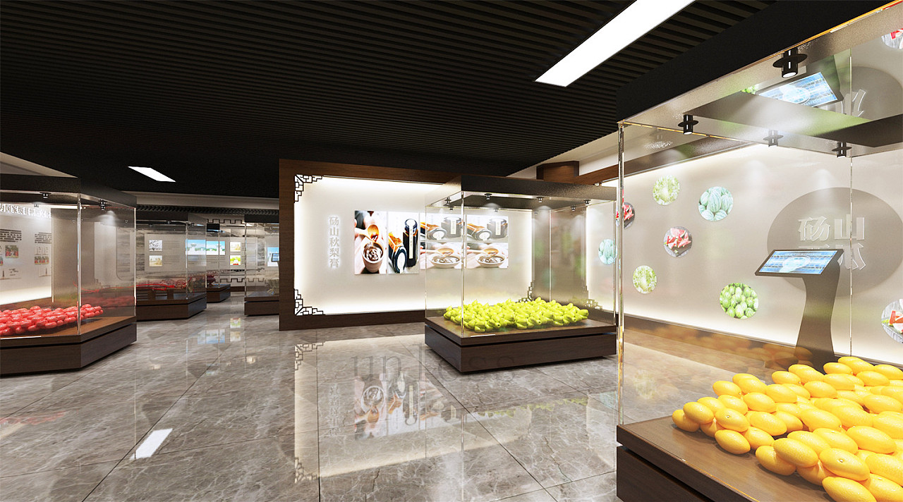 中式古风地方当地文化展厅