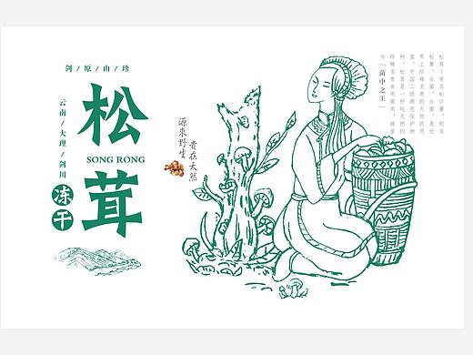 菌包装—云南土特产