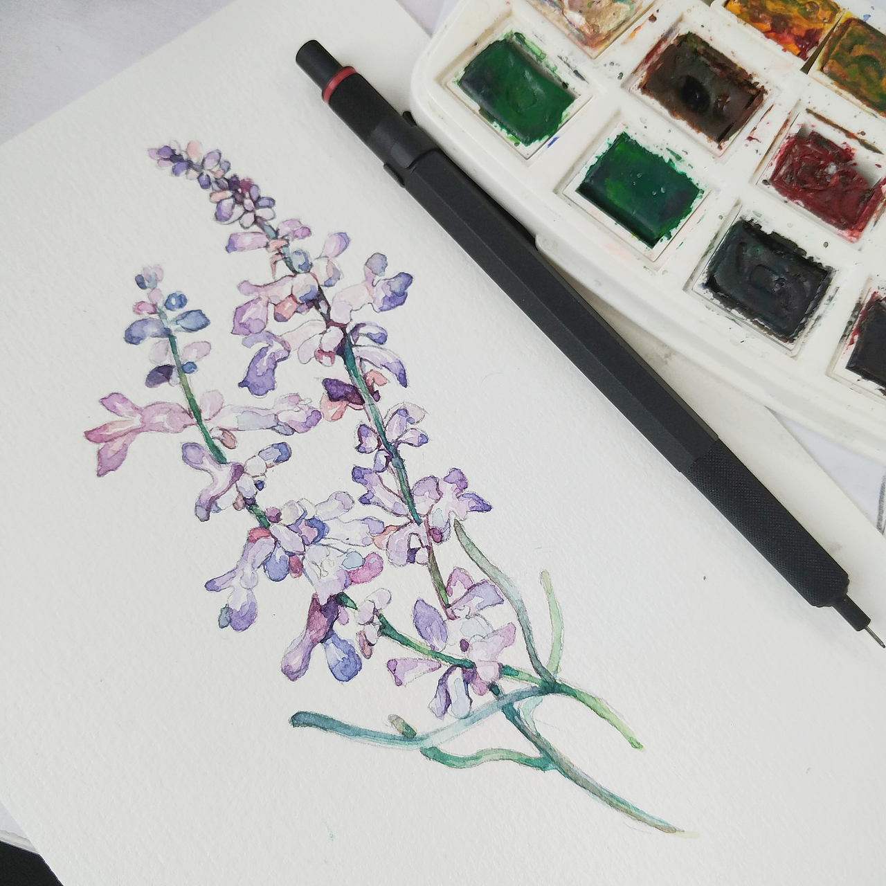 薰衣草（图ZODc0ODI1MjQ=） - 绘画 - 站酷设计师R半听原创素材 - 站酷ZCOOL