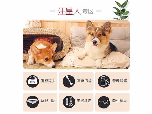 淘宝手机端无线端店铺首页 宠物零食用品