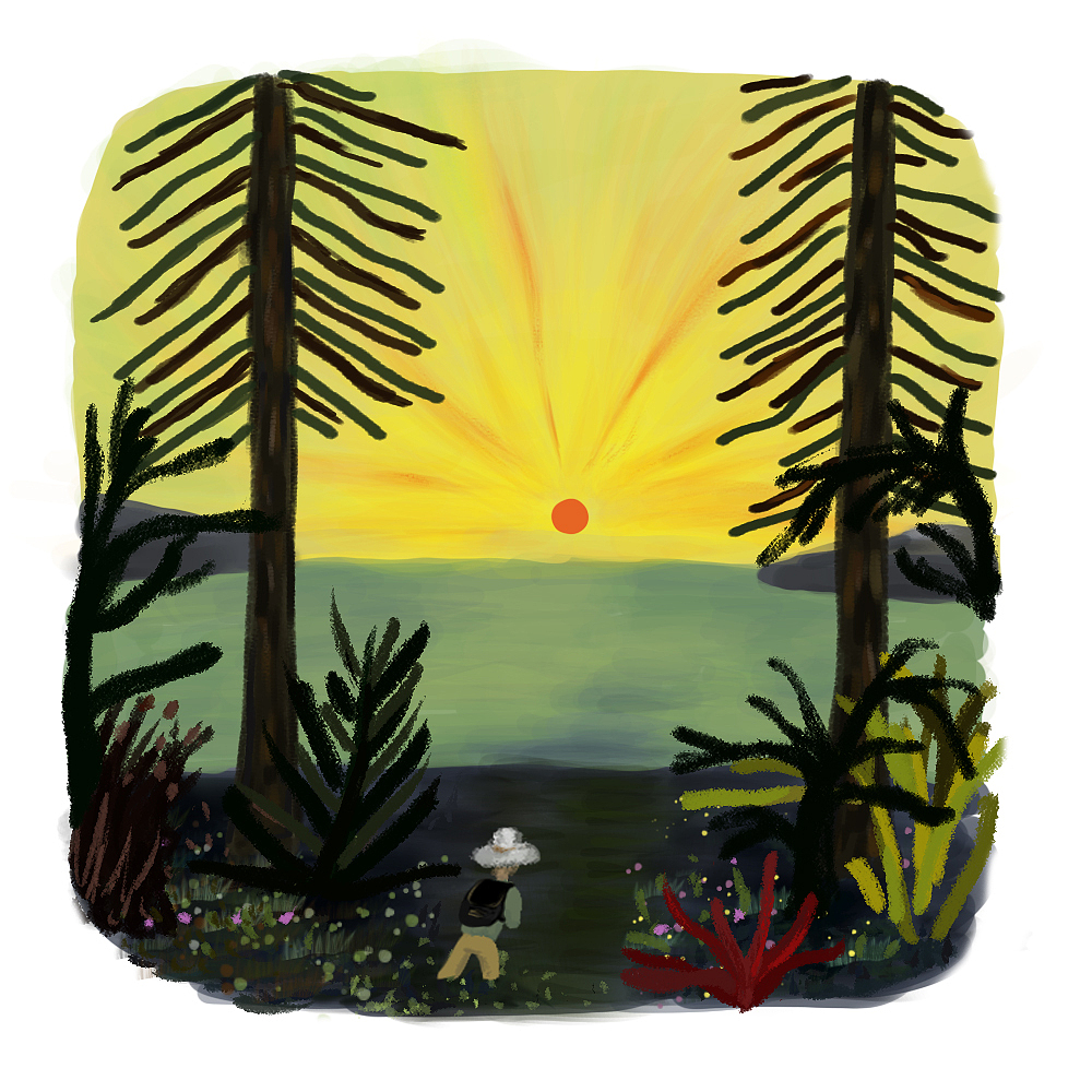 我的大自然的约会（图ZMjE1NjQ1NTA0） - 创作习作 - 站酷设计师Summerabc原创素材 - 站酷ZCOOL