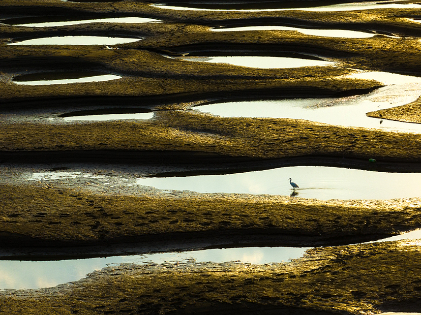 天兴洲落日～（图ZMzE0MDY5NjI0） - 风光摄影 - 站酷设计师马丁的老相机原创素材 - 站酷ZCOOL