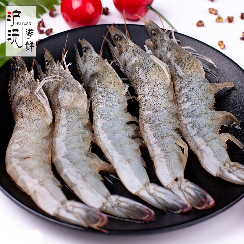 虾仁视频（图ZMTU5NTgwOTUy） - 其他平面 - 站酷设计师云蕾lei原创素材 - 站酷ZCOOL