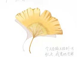 今天在路上捡到一片秋天 想要把它留给冬天~