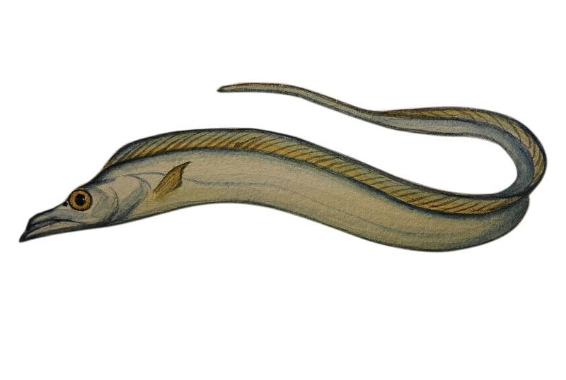 水彩手绘一发 2015.4（图ZNDQ0MjU5MDQ=） - 创作习作 - 站酷设计师阿石原创素材 - 站酷ZCOOL