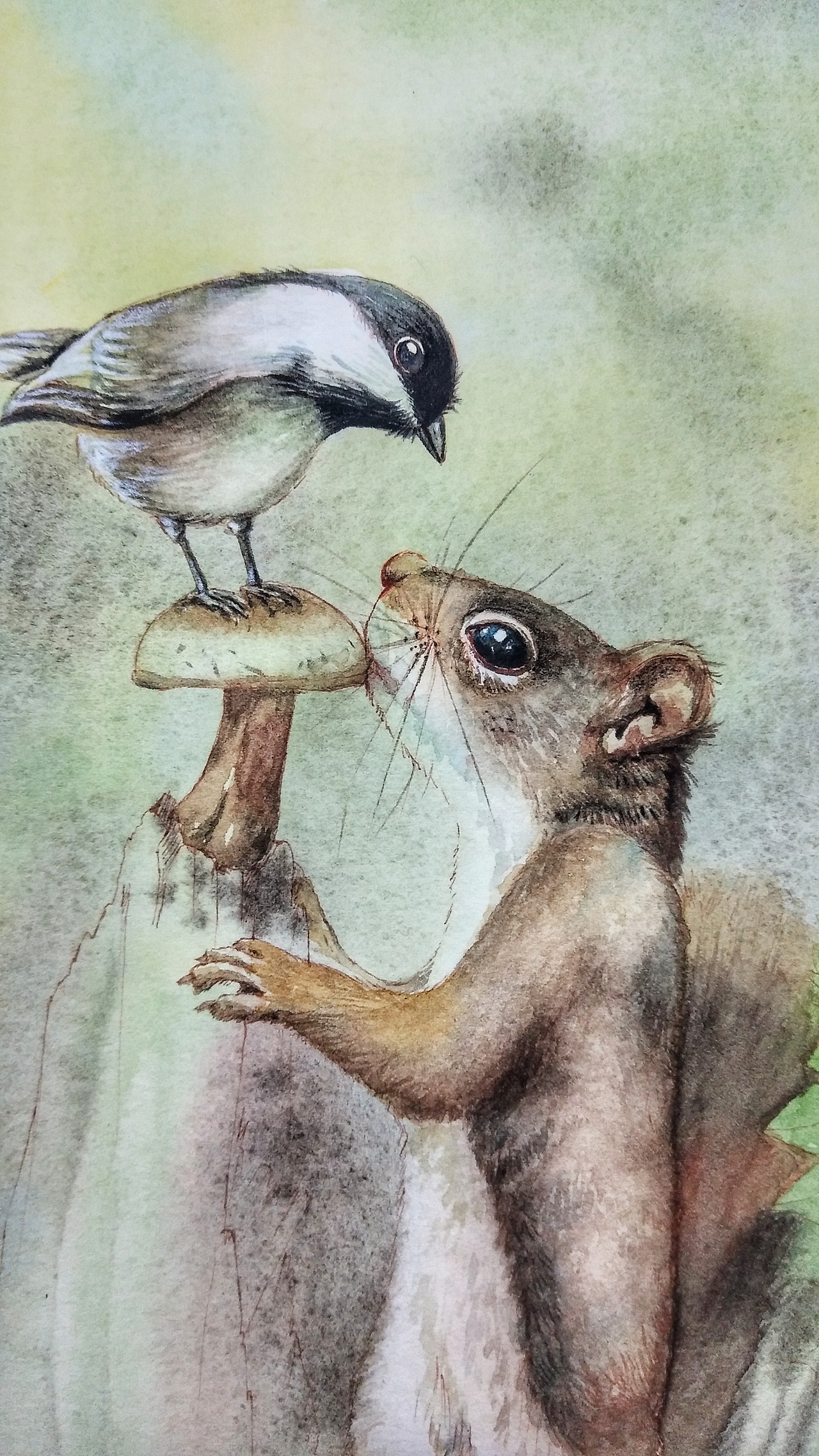 水彩松鼠🐿（图ZMTc4NDcwMDYw） - 绘本 - 站酷设计师ArleneC原创素材 - 站酷ZCOOL