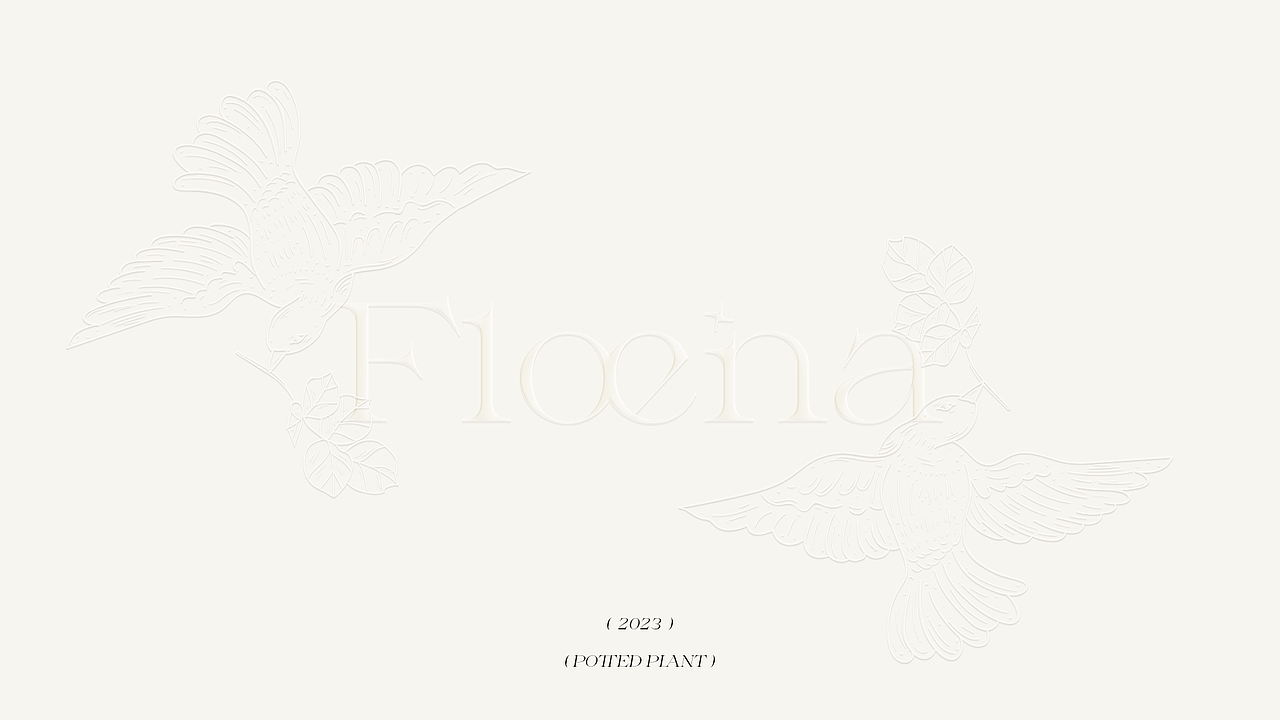 Floena - 所有想说的话,都在这束花里!