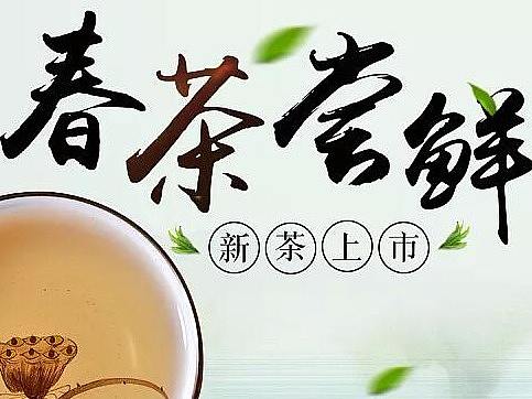 茶叶类海报系列