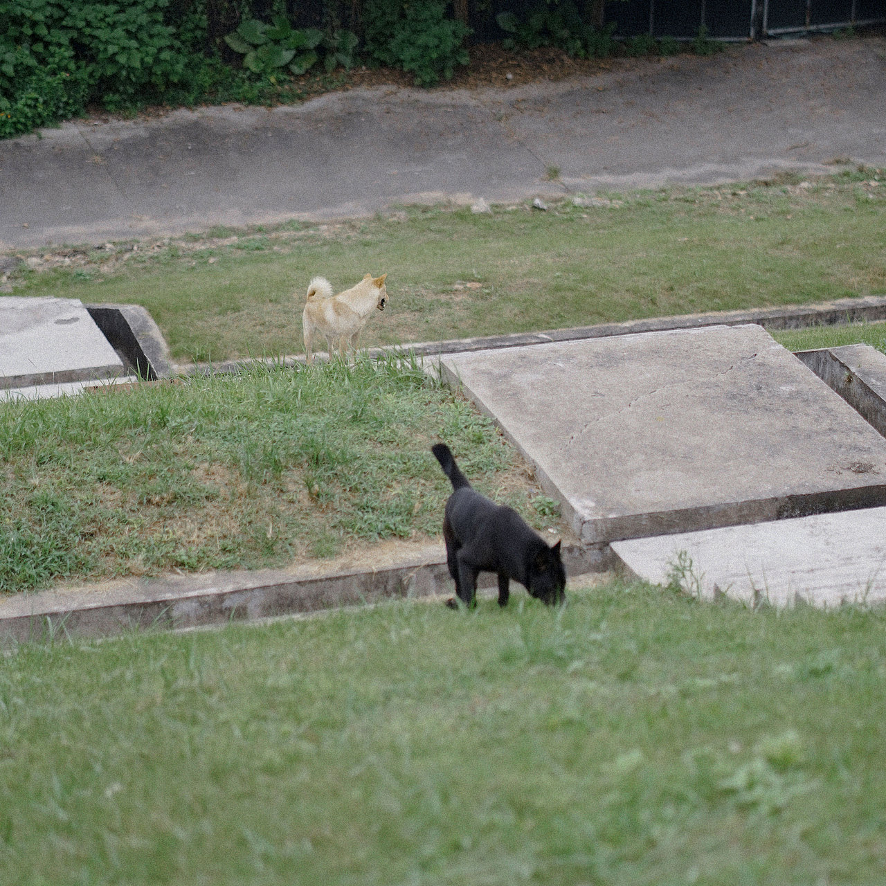 属于他的那一刻彩虹（图ZMjI5OTcxOTA0） - 人像摄影 - 站酷设计师_余小鱼原创素材 - 站酷ZCOOL