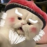 图布干臧的头像