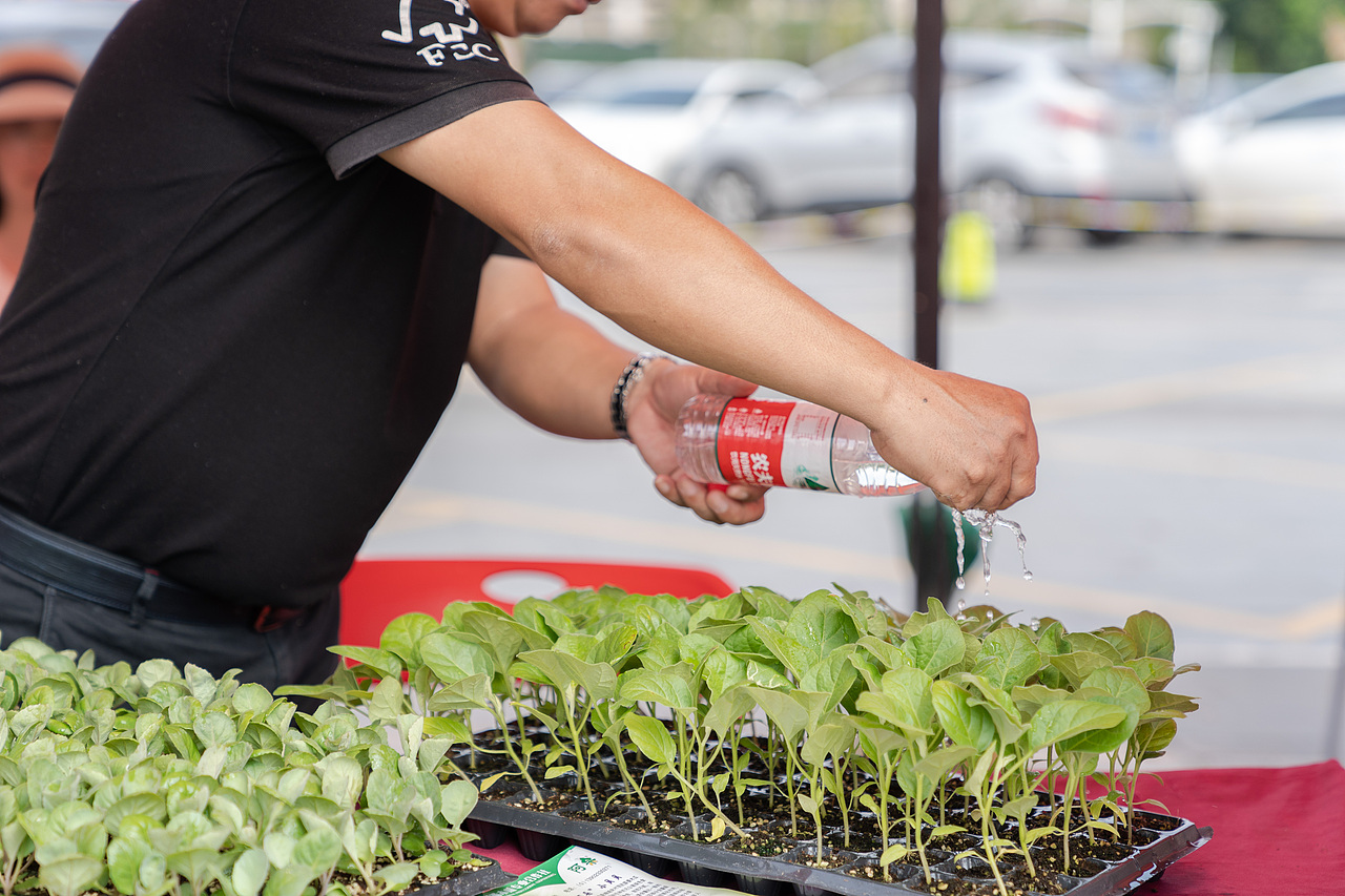 20190910 增城区妇联创新创业集市活动跟拍（图ZMjM5NTI0MDcy） - 其他摄影 - 站酷设计师Shining丶葵原创素材 - 站酷ZCOOL