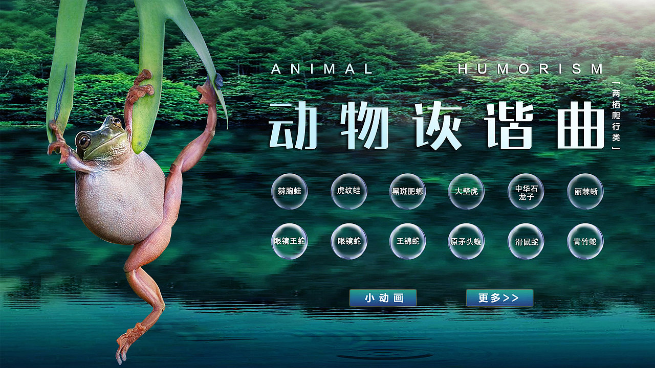 动植物展厅（图ZMjgzOTg1MzYw） - 其他平面 - 站酷设计师酷酷的大沈原创素材 - 站酷ZCOOL