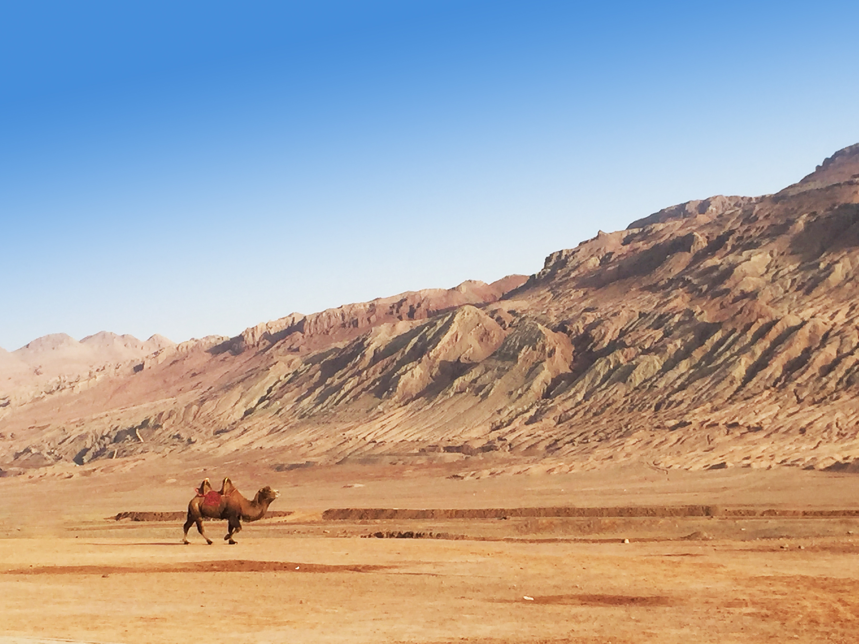 【携程攻略】新疆火焰山景点,火焰山位于新疆吐鲁番盆地。它的整个山体，全部由红色的砂岩和页岩组…