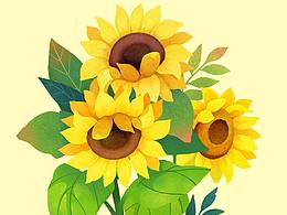 花卉插画集