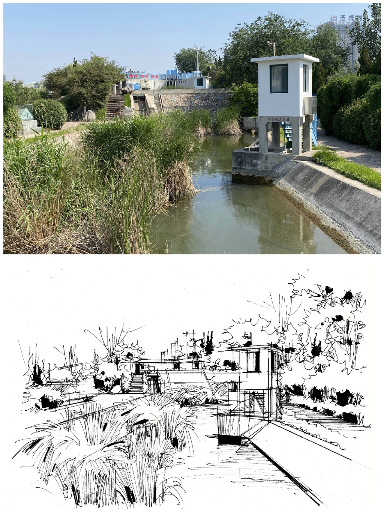 园林景观手绘设计草图