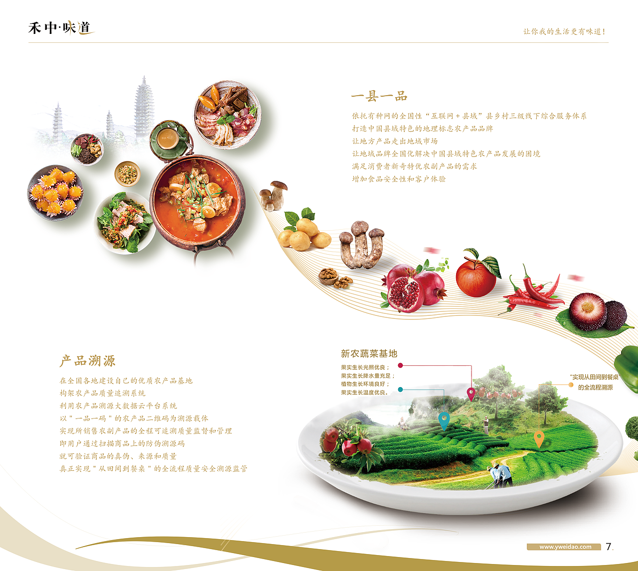宣传册（图ZODU5MDMxNDQ=） - 书籍/画册 - 站酷设计师小番茄cherry原创素材 - 站酷ZCOOL